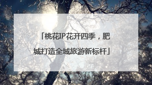 桃花IP花开四季，肥城打造全域旅游新标杆